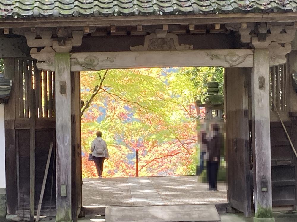 香嵐渓と川見四季桜の里